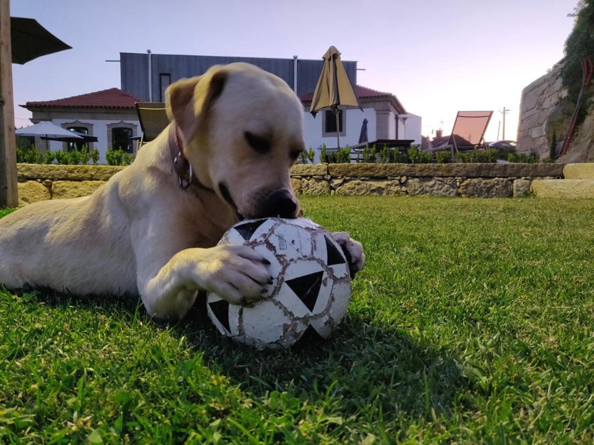 Paco De Vilharigues Hotel Vouzela Luaran gambar